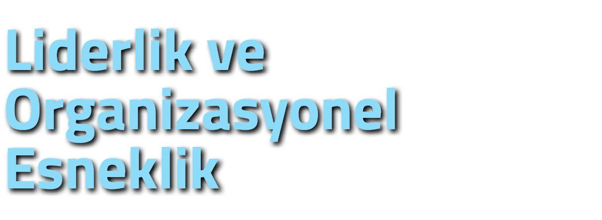 Liderlik ve Organizasyonel Esneklik