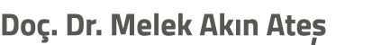 Do . Dr. Melek Ak n Ate 