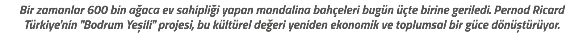 Bir zamanlar 600 bin a aca ev sahipli i yapan mandalina bah eleri bug n  te birine geriledi. Pernod Ricard T rkiye'n...