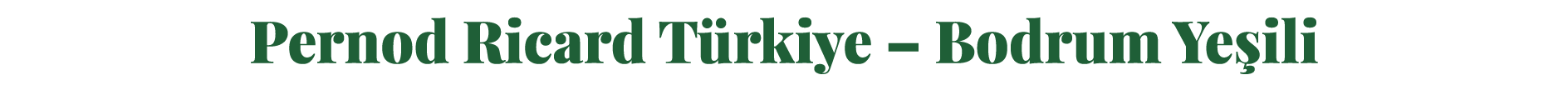 Pernod Ricard T rkiye – Bodrum Ye ili