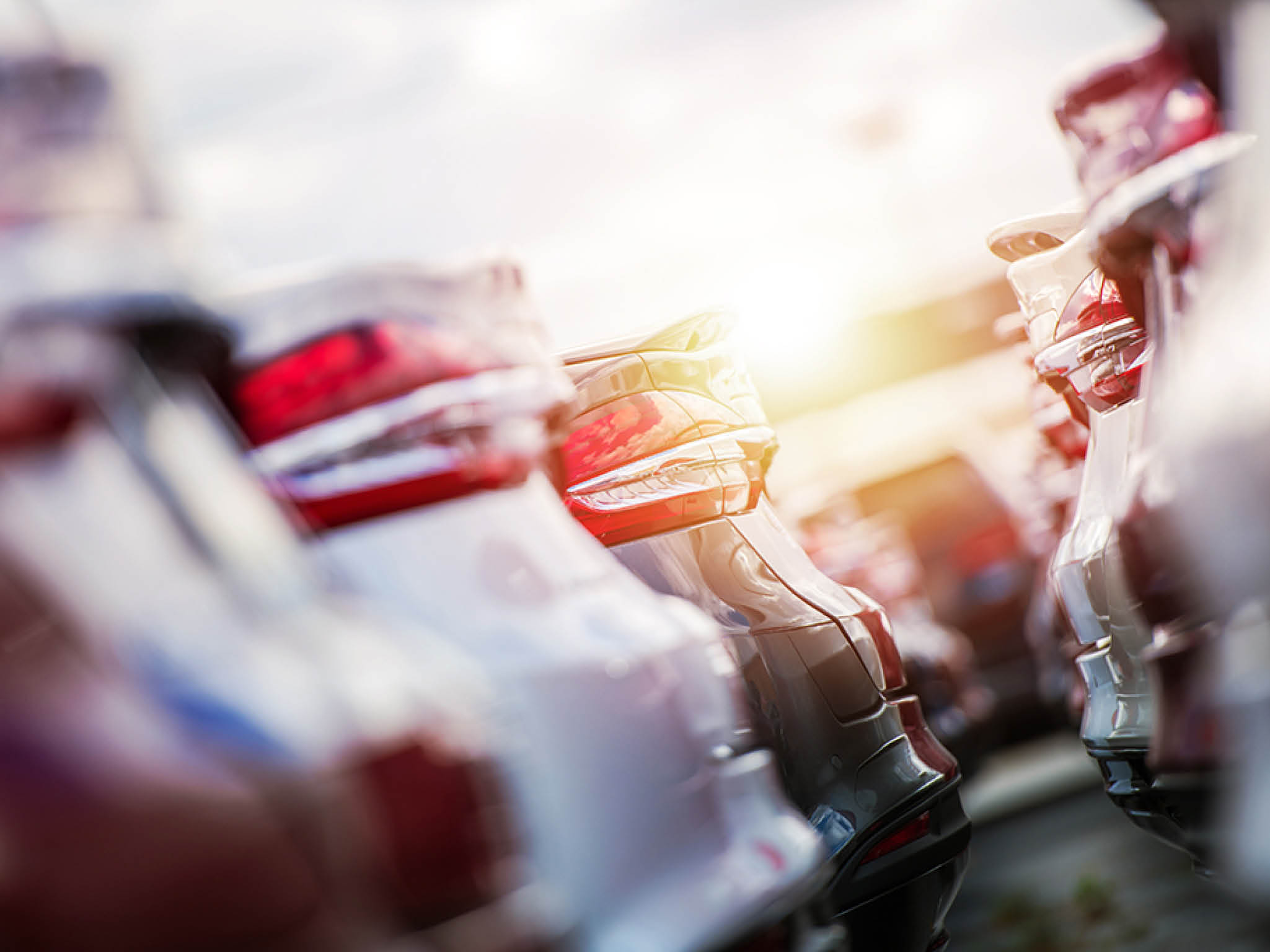 Automotive Sales Theme  Rows of Brand New Cars on Dealership Parking 