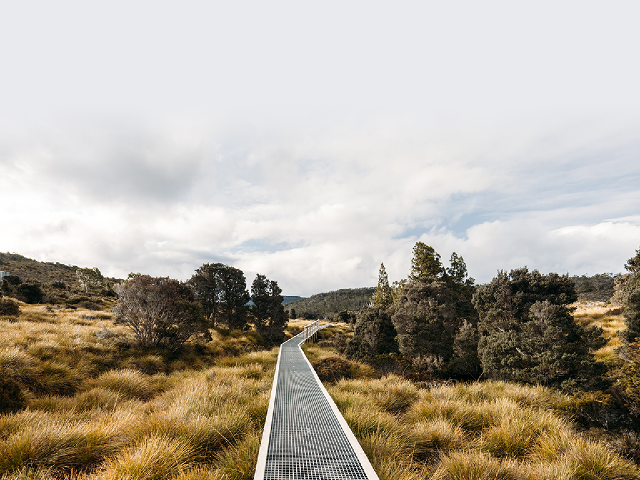Boardwalk and landscape near Dove Lake on a cool stormy spring afternoon near sunset in Cradle Mountain, Tasmania, Australia