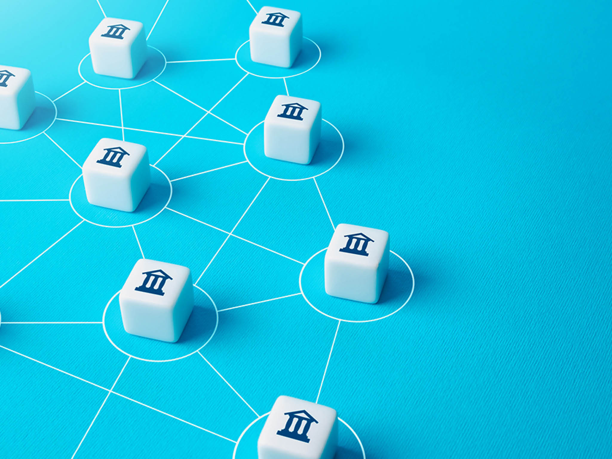 Communication between banks or government agencies. Corporate network. Collective joined database. Interbank identification system. International payment system. Financial transactions.